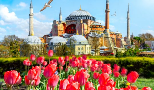 Фестивал на лалетата в Истанбул, Турция с автобус от Варна - 3 нощувки