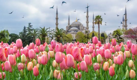 Великден в Истанбул - Фестивал на лалетата с автобус от София - 3 нощувки