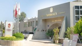 AMBROSIA