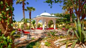 SIMBA CLUB - Samira Club Standard