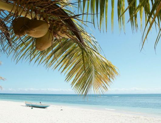 ЕКЗОТИЧНА ПОЧИВКА В МАДАГАСКАР - ОСТРОВ НУСИ БЕ - 21.03.2026