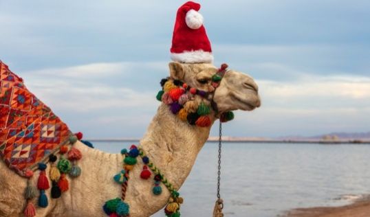 Нова Година - Чартър до Шарм ел Шейх от Варна