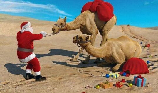 Коледа - Чартър до Шарм Ел Шейх от София - 7 нощувки